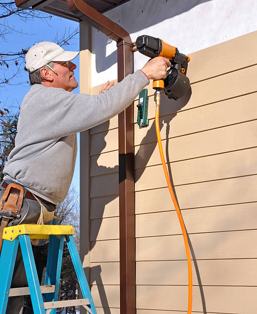 Best Custom Trim and Detailing for Siding  in Dekal, IL